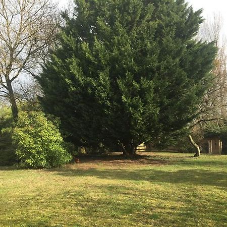 Messimy-sur-Saone La Grange De La Batone - Bed And Breakfast المظهر الخارجي الصورة