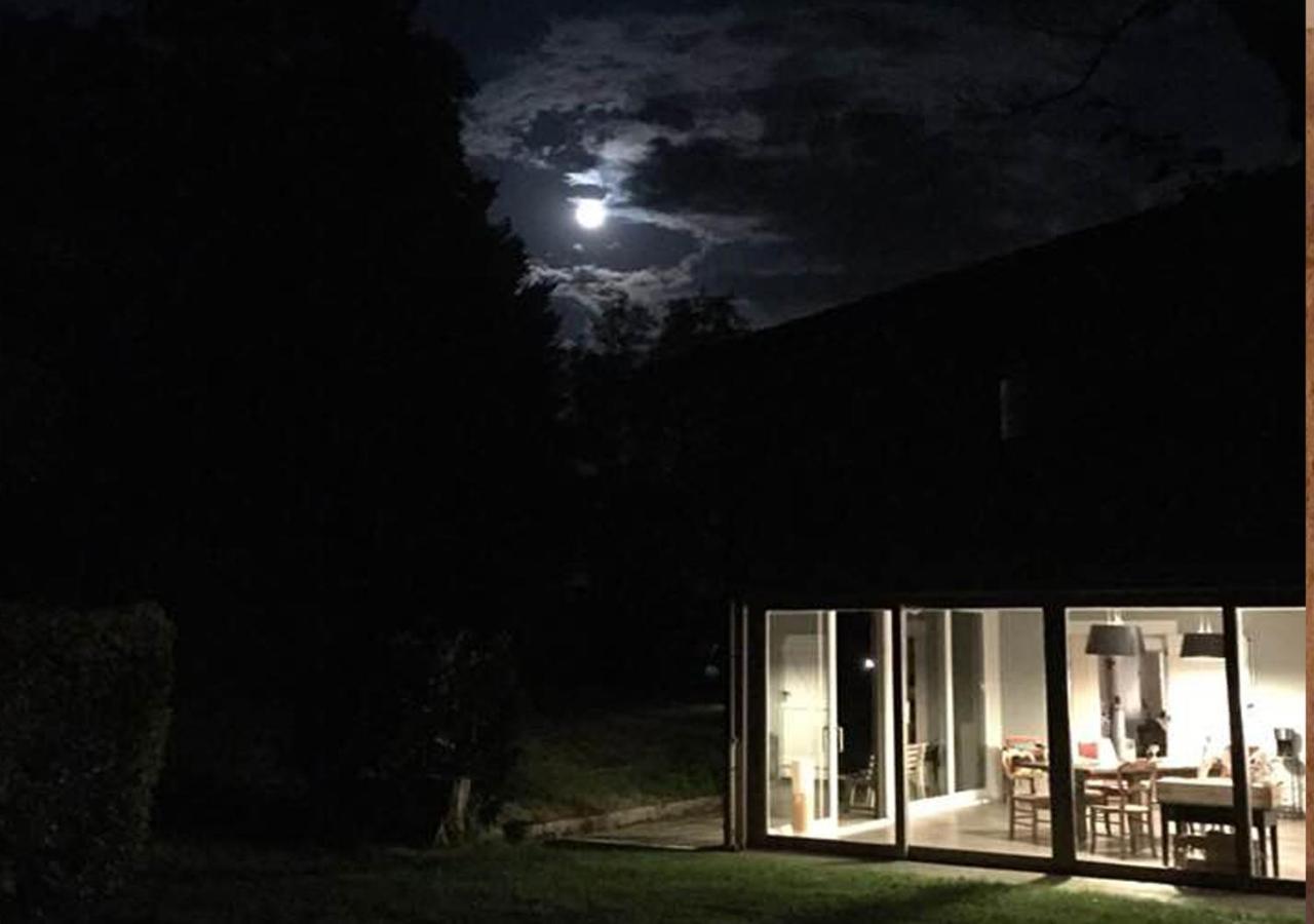 Messimy-sur-Saone La Grange De La Batone - Bed And Breakfast المظهر الخارجي الصورة