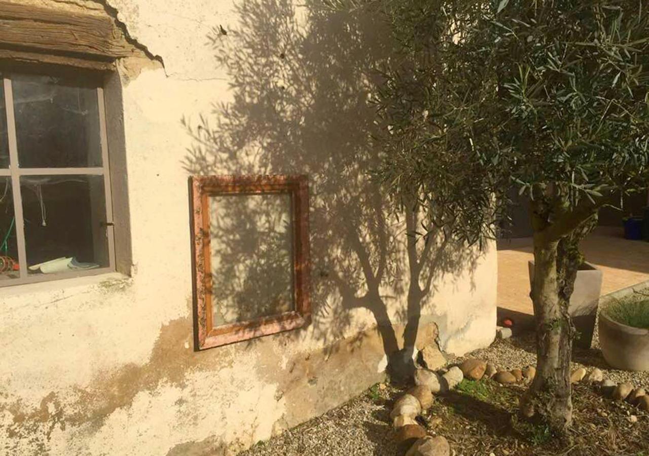 Messimy-sur-Saone La Grange De La Batone - Bed And Breakfast المظهر الخارجي الصورة