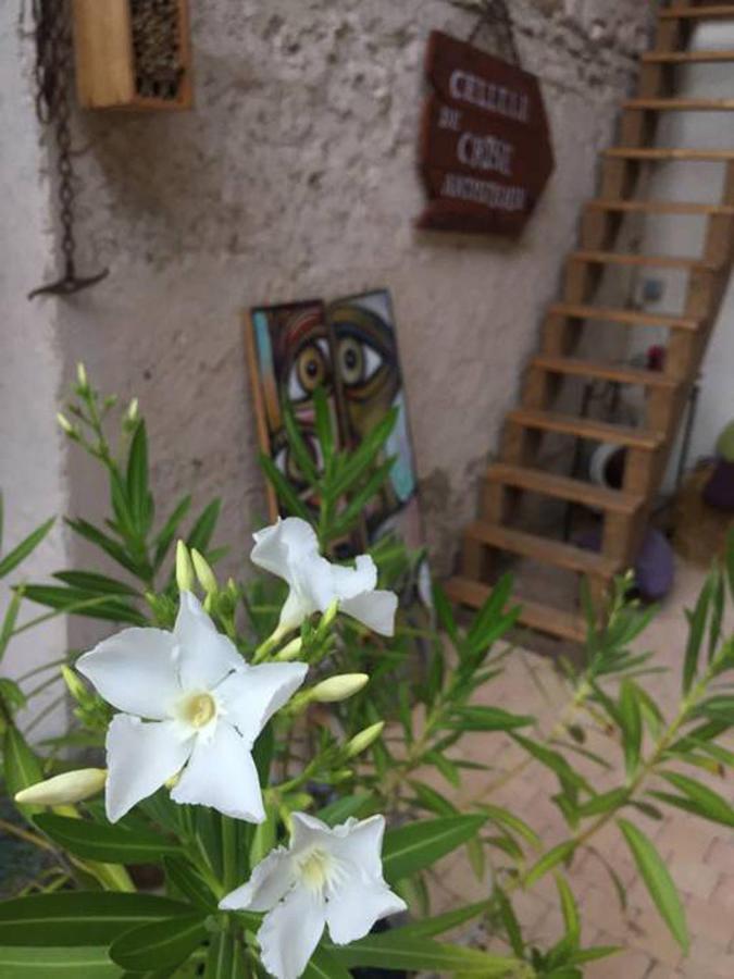 Messimy-sur-Saone La Grange De La Batone - Bed And Breakfast المظهر الخارجي الصورة