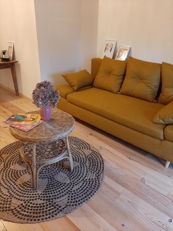 Messimy-sur-Saone La Grange De La Batone - Bed And Breakfast المظهر الخارجي الصورة