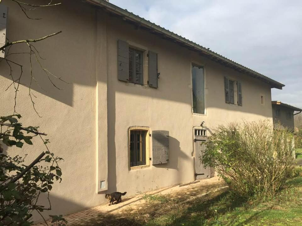 Messimy-sur-Saone La Grange De La Batone - Bed And Breakfast المظهر الخارجي الصورة