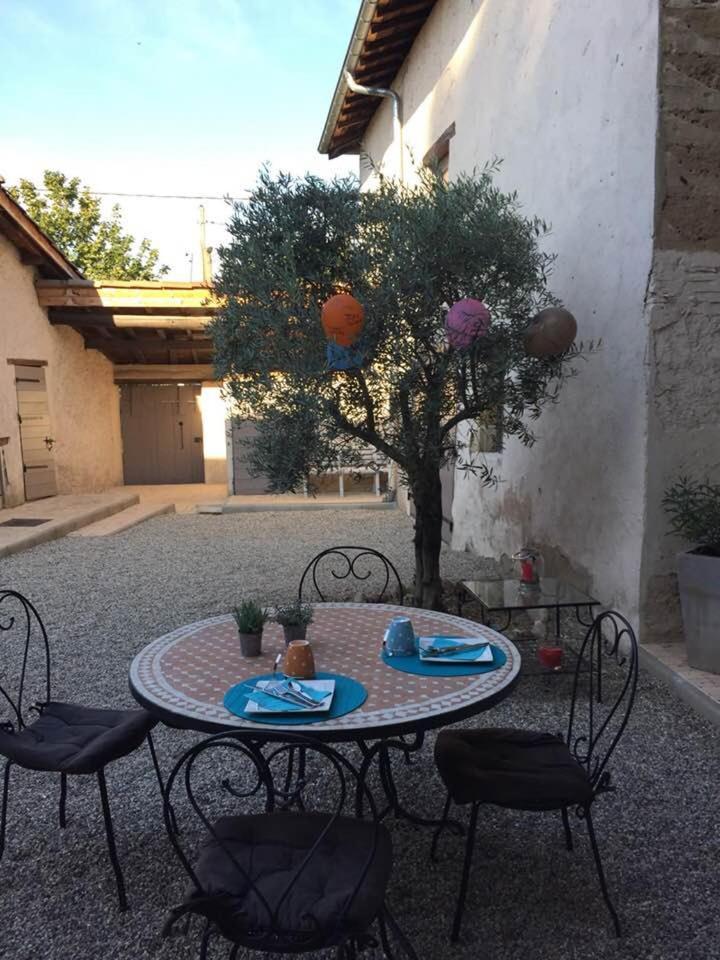 Messimy-sur-Saone La Grange De La Batone - Bed And Breakfast المظهر الخارجي الصورة