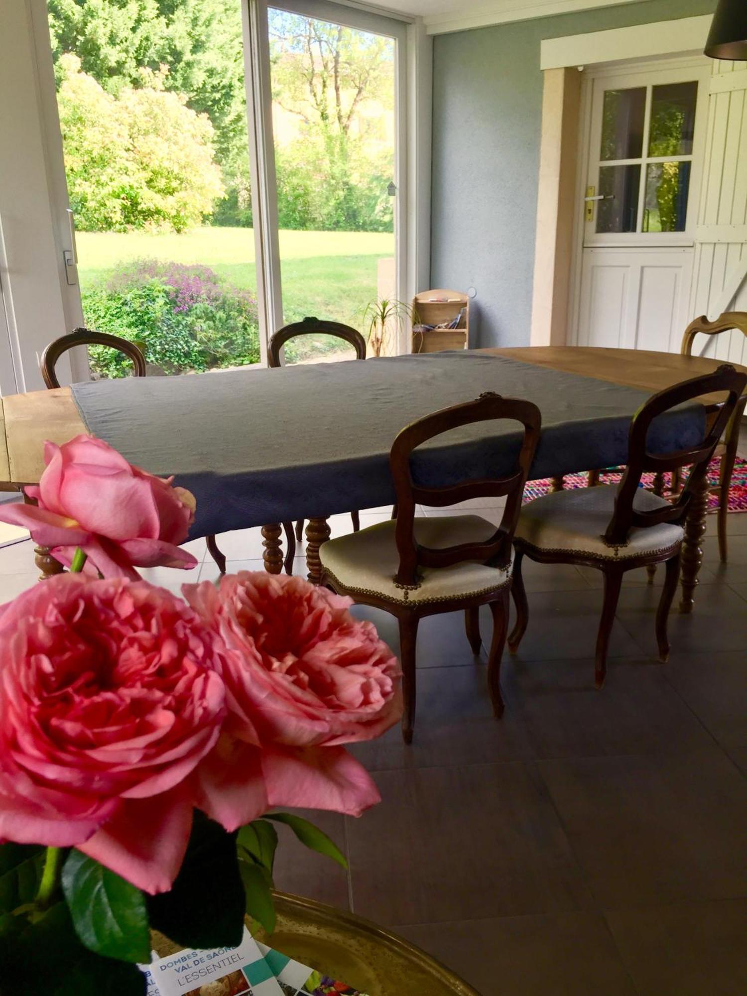 Messimy-sur-Saone La Grange De La Batone - Bed And Breakfast المظهر الخارجي الصورة