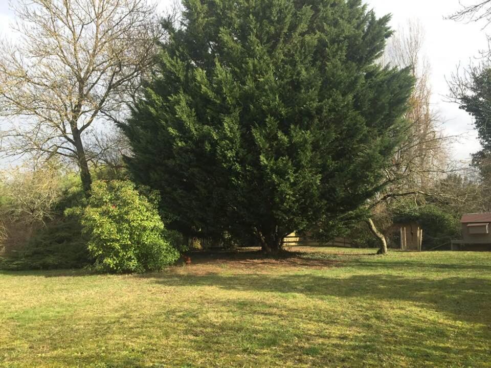 Messimy-sur-Saone La Grange De La Batone - Bed And Breakfast المظهر الخارجي الصورة